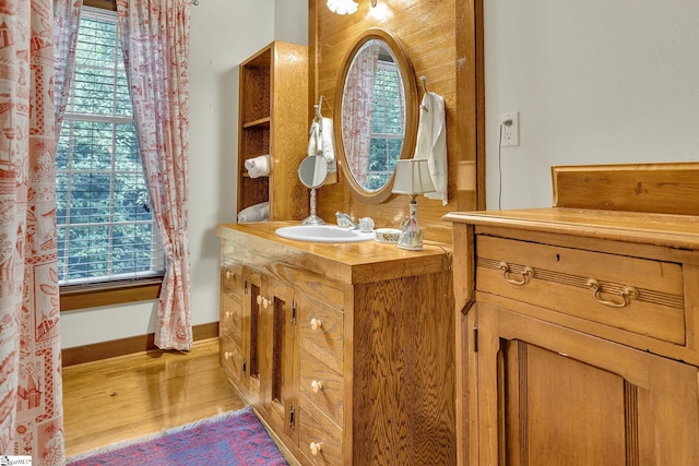 bathroom featuring hardwood / wood-style floors, vanity, and a wealth of natural light