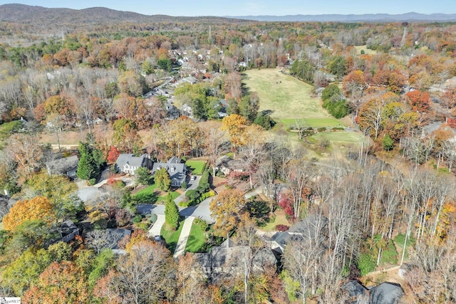 aerial view with a mountain view