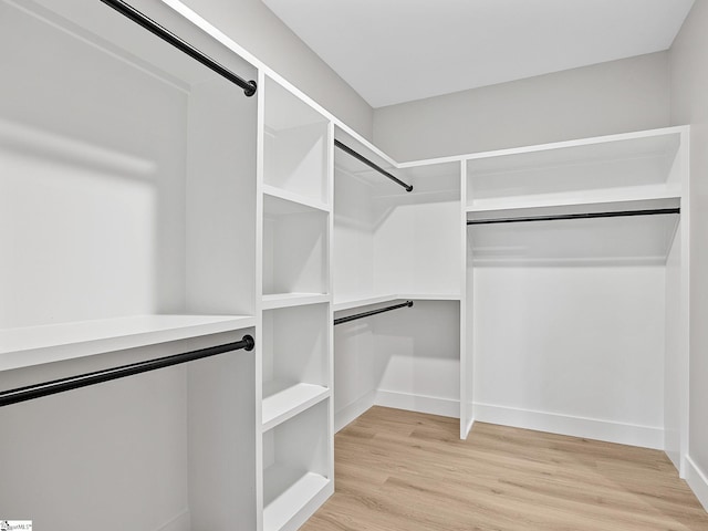 walk in closet featuring light wood-type flooring