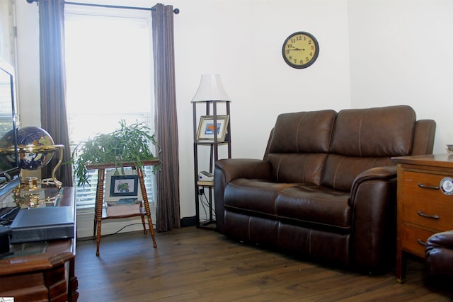 sitting room featuring plenty of natural light and dark wood-type flooring