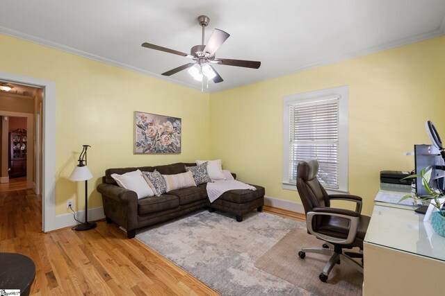 office with ceiling fan, light hardwood / wood-style floors, and crown molding