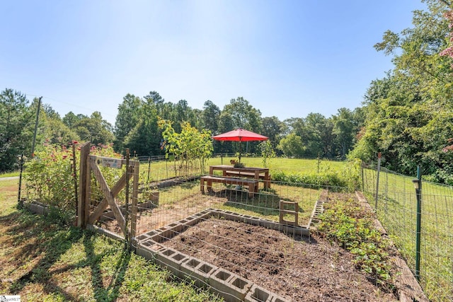 view of yard with a rural view