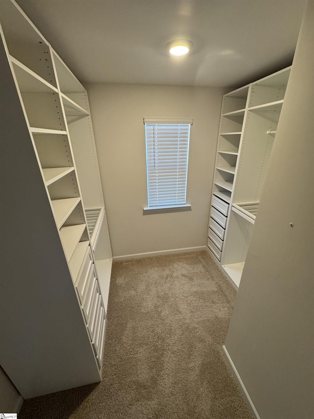 walk in closet with carpet