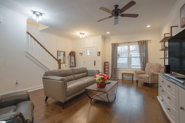 living room featuring dark hardwood / wood-style flooring, ceiling fan, and ornamental molding