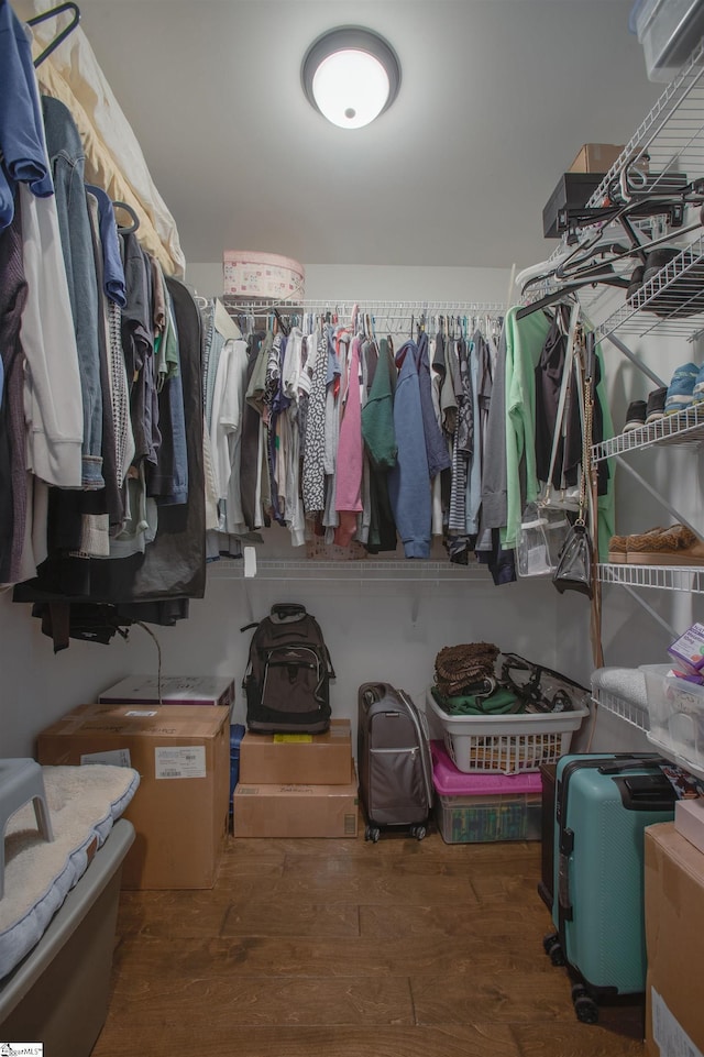 walk in closet with dark hardwood / wood-style flooring