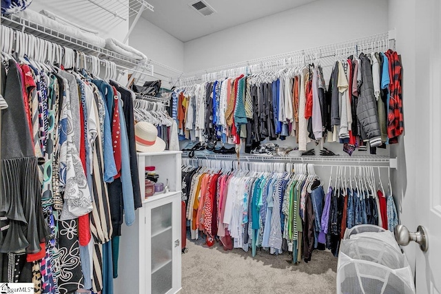 walk in closet with carpet flooring