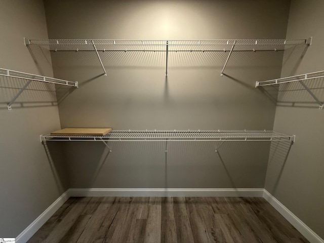 walk in closet with dark hardwood / wood-style floors