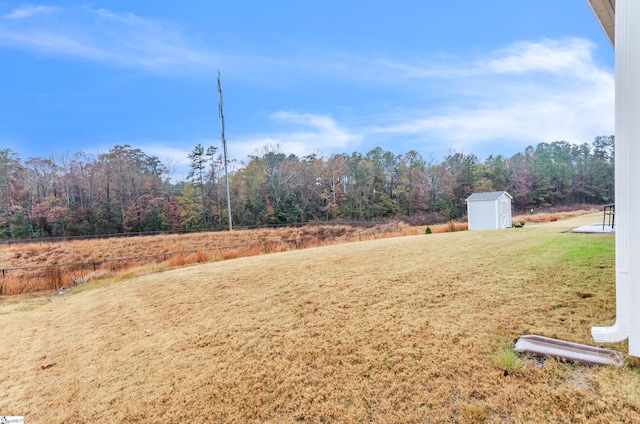 view of yard with a storage shed