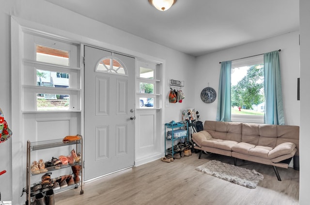 foyer entrance featuring light hardwood / wood-style floors