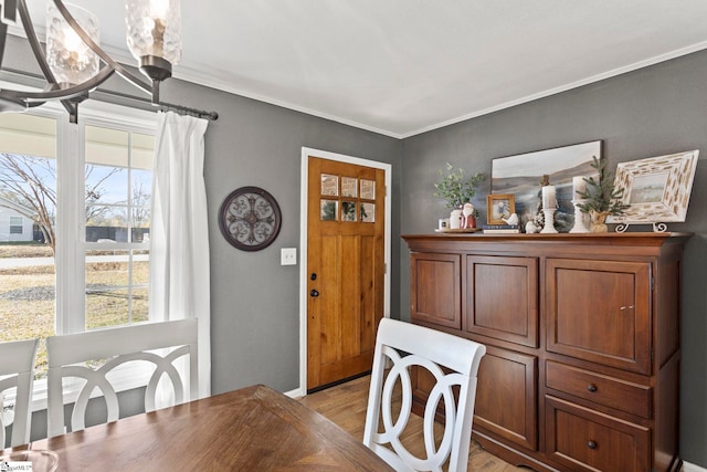 dining room with crown molding and light hardwood / wood-style floors