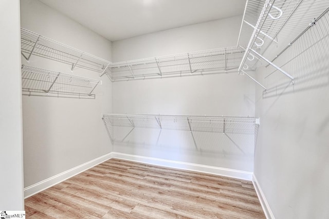 walk in closet with wood-type flooring