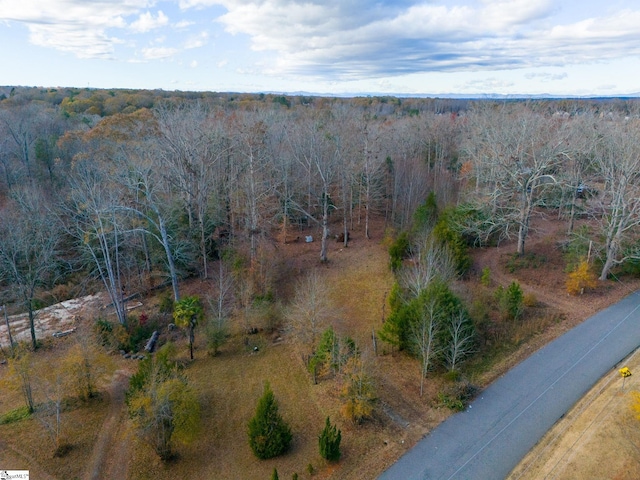 Listing photo 3 for Thompson Rd, Greer SC 29651