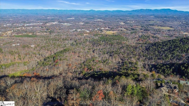 1494 Altamont Rd, Greenville SC, 29613 land for sale