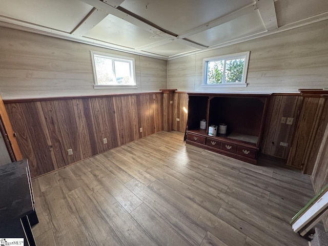 interior space with light hardwood / wood-style flooring, a healthy amount of sunlight, and wood walls