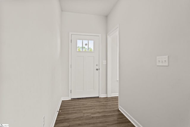 doorway featuring dark wood-type flooring