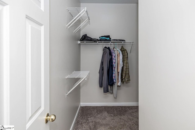 spacious closet with dark colored carpet