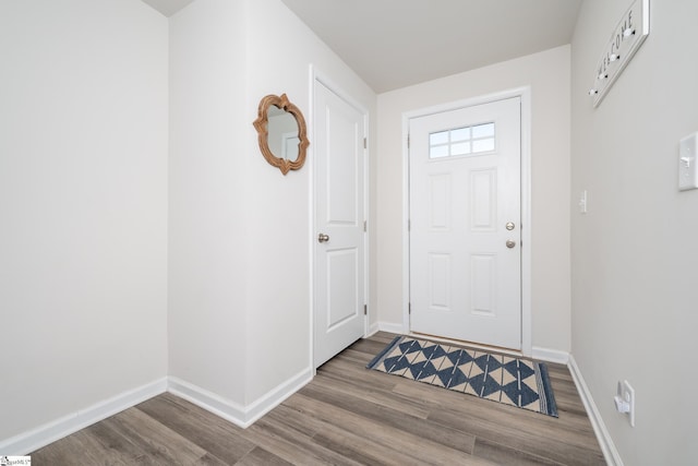 foyer entrance with wood-type flooring