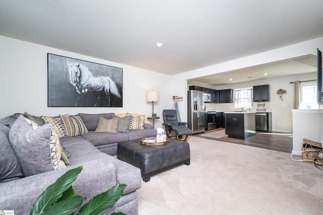 living room featuring light colored carpet and sink