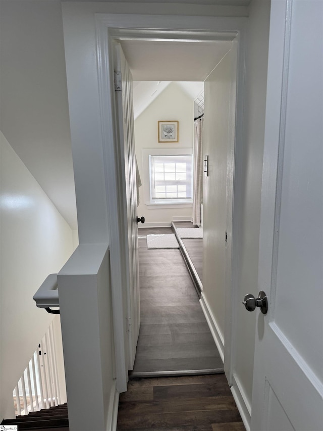 hallway featuring lofted ceiling and dark hardwood / wood-style flooring