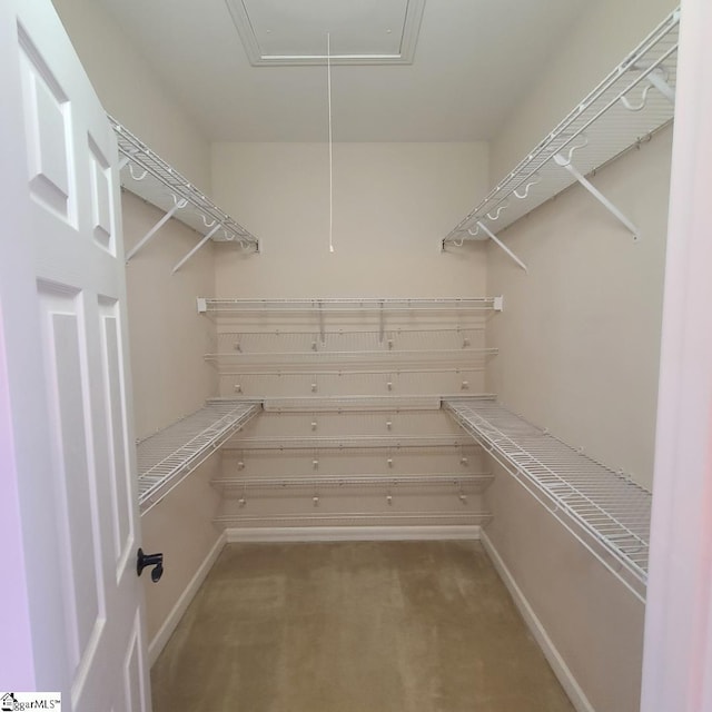 spacious closet with light carpet