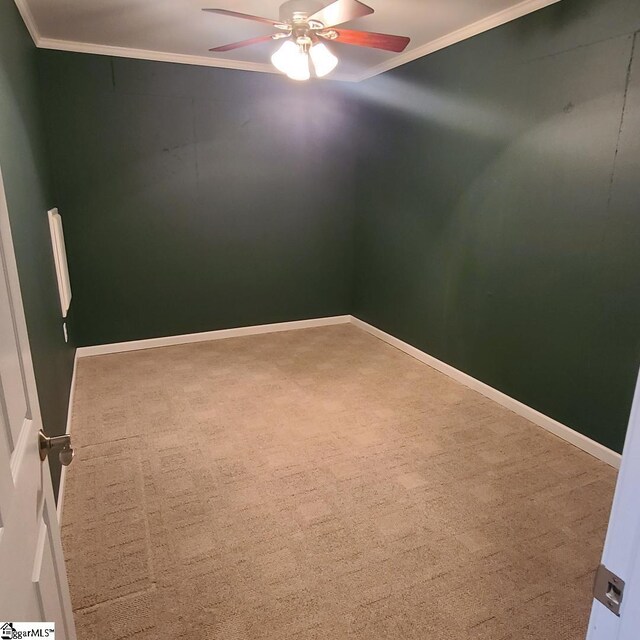 unfurnished room with ceiling fan, carpet, and ornamental molding