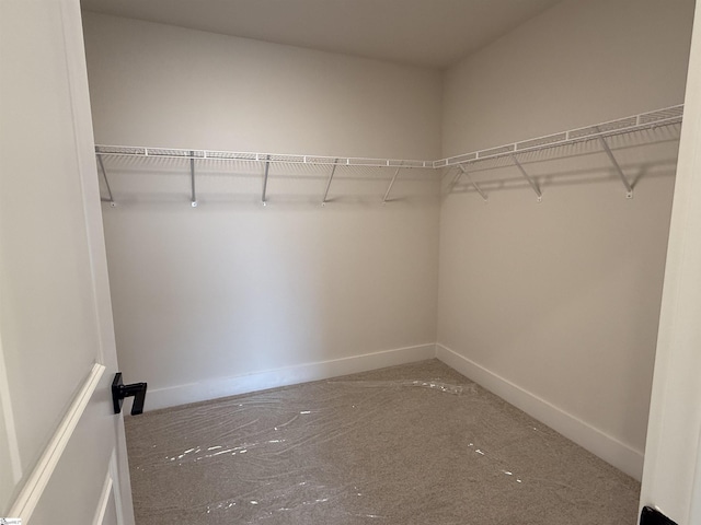 view of spacious closet