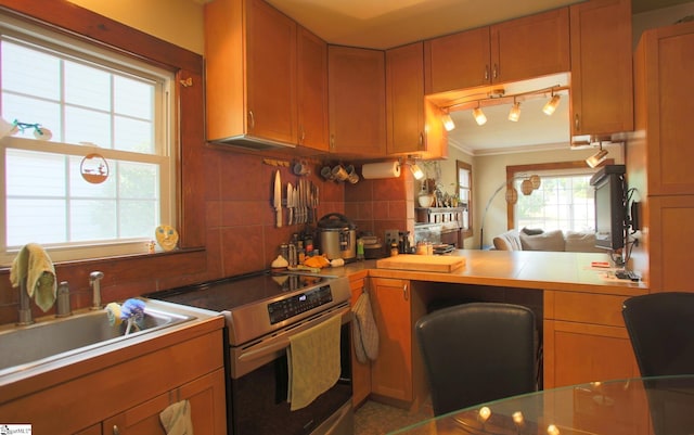 kitchen with decorative backsplash, crown molding, sink, and stainless steel range