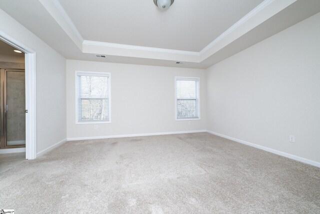 carpeted spare room featuring a tray ceiling, plenty of natural light, and ornamental molding