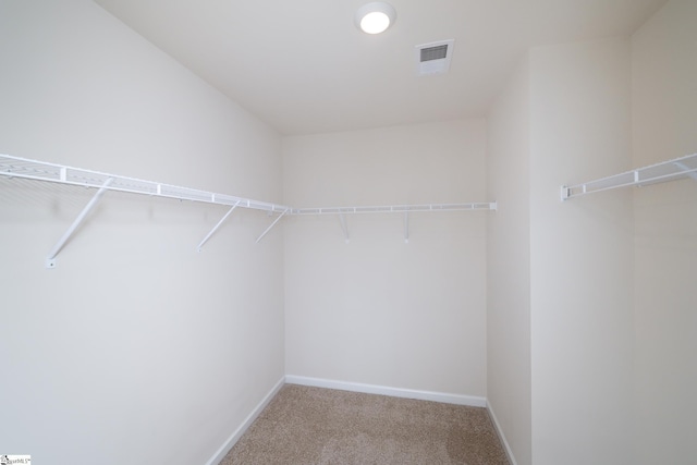 spacious closet featuring carpet floors