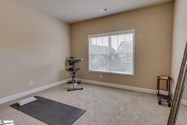 exercise area featuring carpet floors