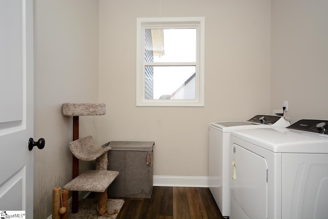 laundry area featuring dark hardwood / wood-style floors and washing machine and clothes dryer