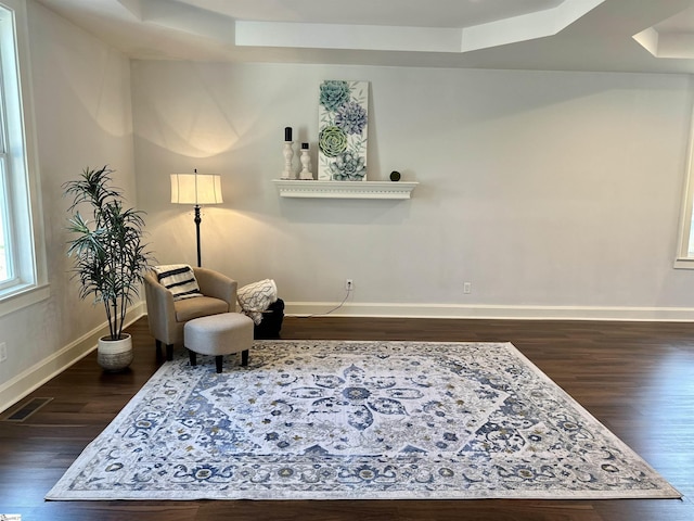 sitting room with dark hardwood / wood-style floors and a raised ceiling