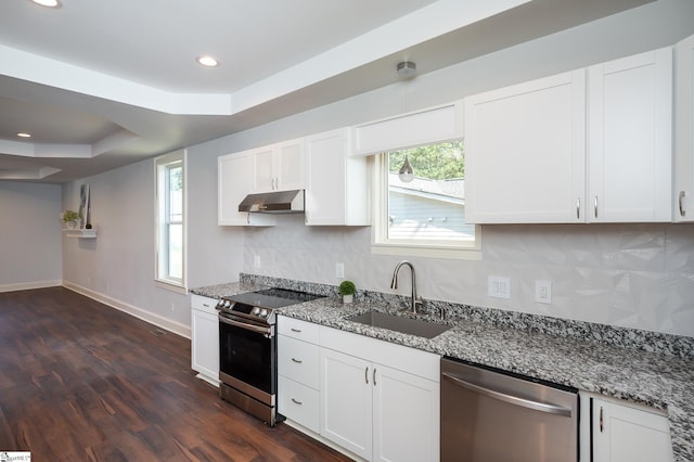 kitchen with white cabinets, dark hardwood / wood-style floors, sink, and stainless steel appliances