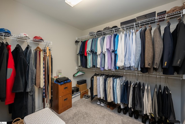 walk in closet featuring carpet