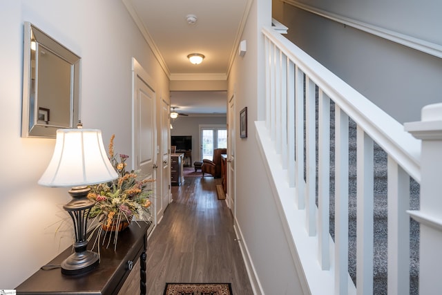 hallway featuring crown molding and dark hardwood / wood-style floors