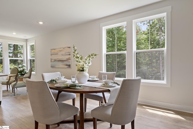 dining room featuring plenty of natural light and light hardwood / wood-style flooring