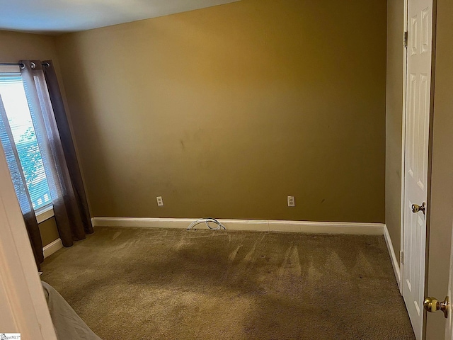 empty room with a wealth of natural light and carpet