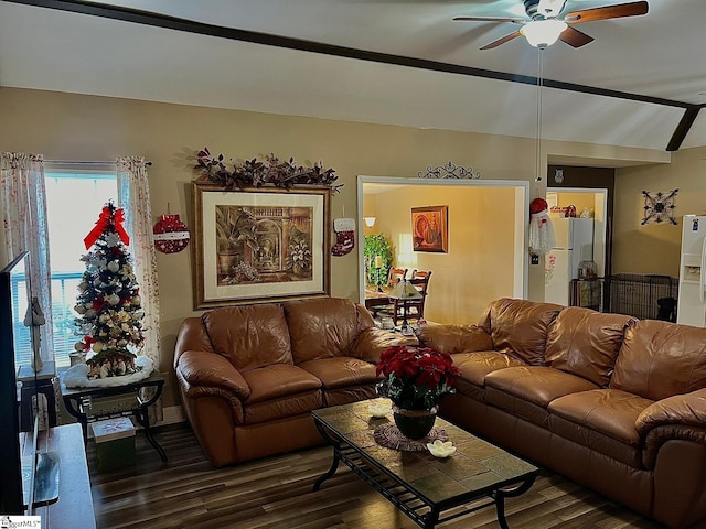 living room with dark hardwood / wood-style flooring, ceiling fan, and lofted ceiling