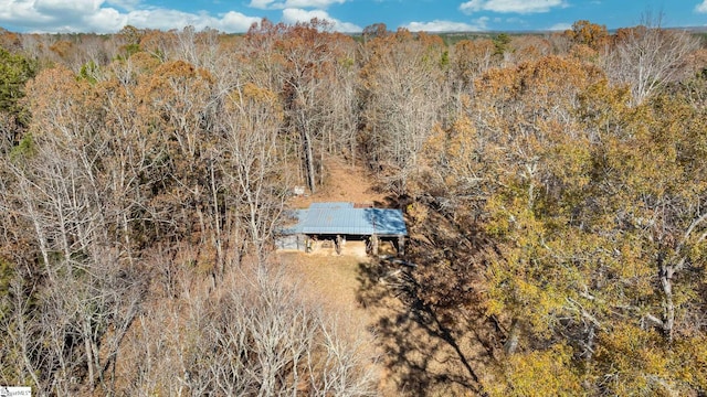 249 Monroe Bridge Rd, Honea Path, SC 29654 - drone / aerial view