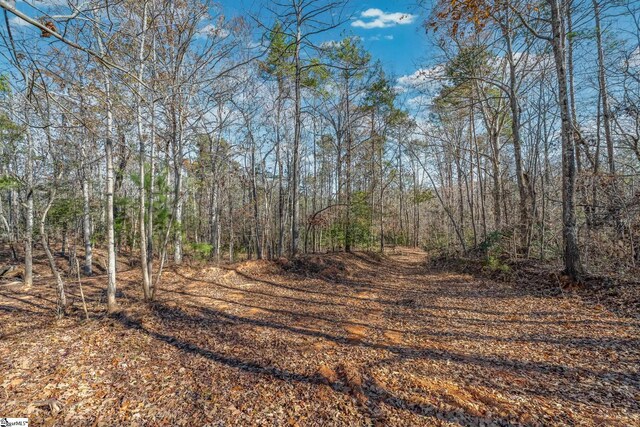 249 Monroe Bridge Rd, Honea Path, SC 29654 - view of landscape