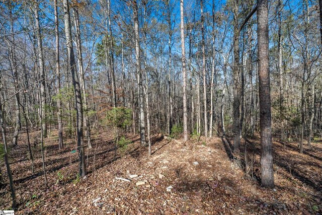 249 Monroe Bridge Rd, Honea Path, SC 29654 - view of local wilderness