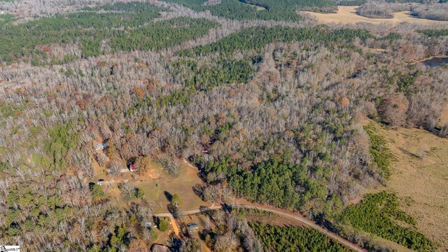 249 Monroe Bridge Rd, Honea Path, SC 29654 - aerial view