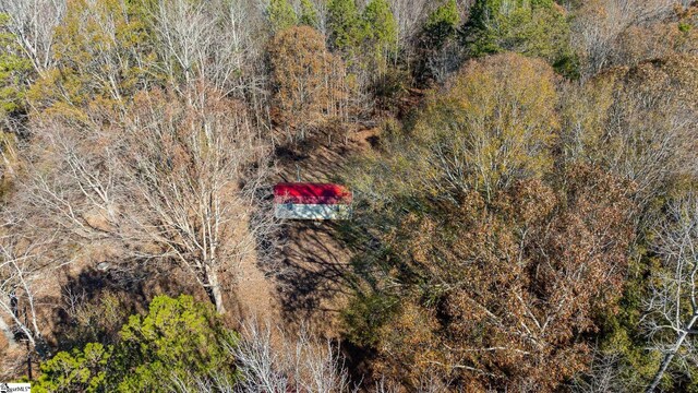 249 Monroe Bridge Rd, Honea Path, SC 29654 - drone / aerial view