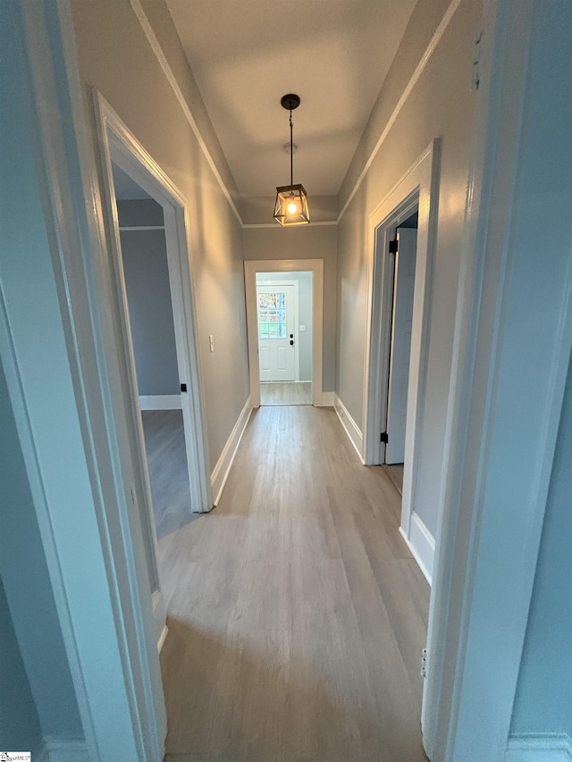 hall with light hardwood / wood-style flooring