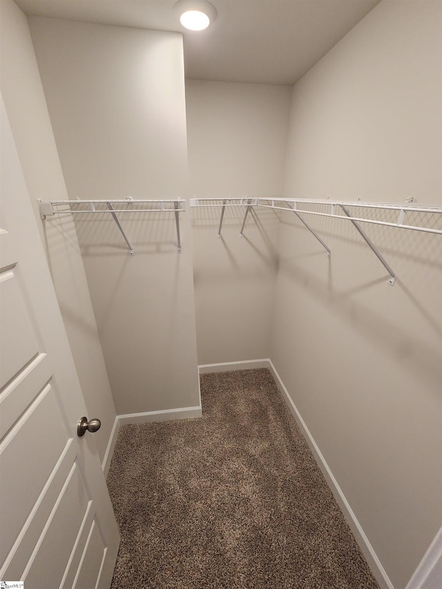 spacious closet with dark carpet