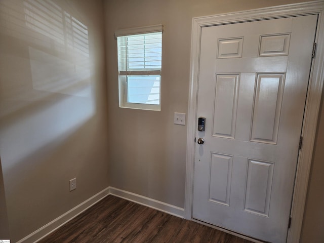 doorway to outside featuring dark hardwood / wood-style flooring