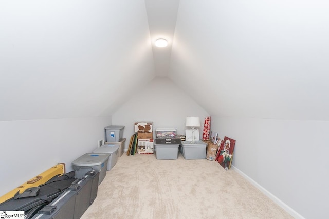 additional living space with light colored carpet and vaulted ceiling