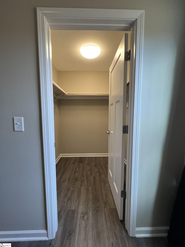 walk in closet featuring dark wood-type flooring