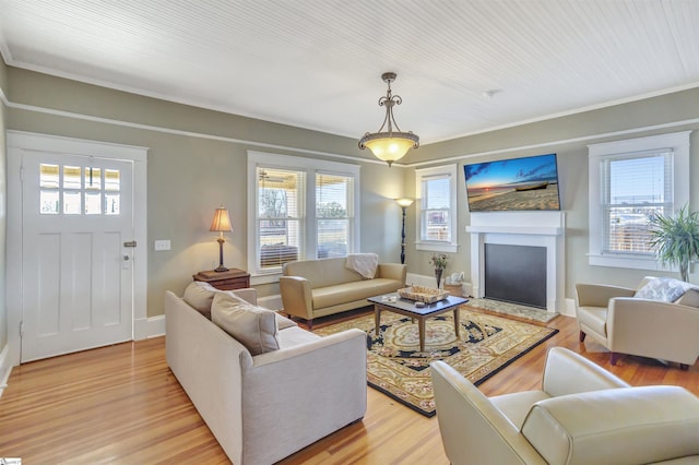 living room featuring light hardwood / wood-style flooring, plenty of natural light, and ornamental molding