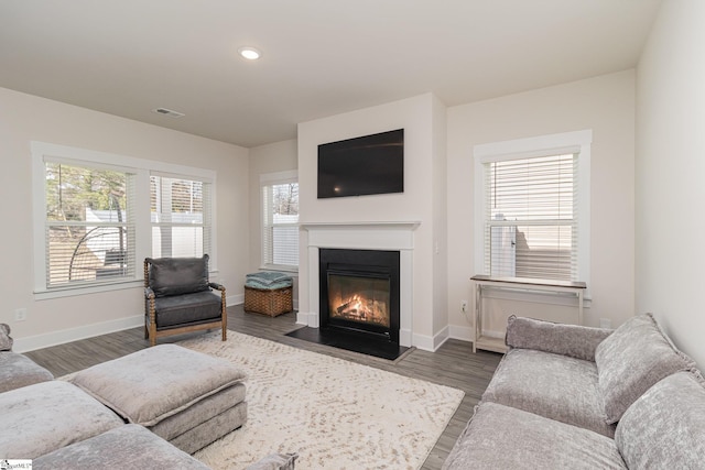 living room featuring dark wood-type flooring